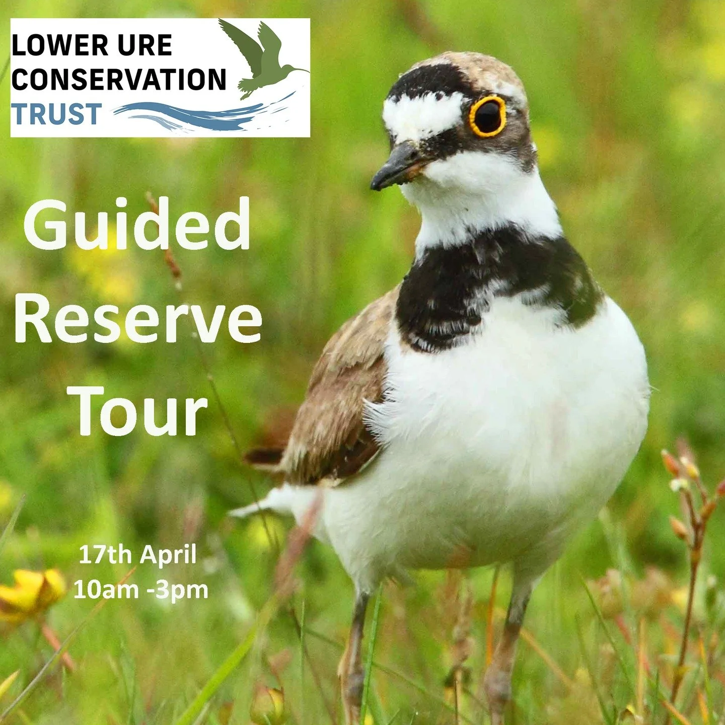 A guided tour of Nosterfield Nature Reserve is a great way to find out more about the reserve and the birds that you can see here in spring.

Starting at 10am at the Main Reserve Car Park, the morning will be spent exploring the hides and other viewp