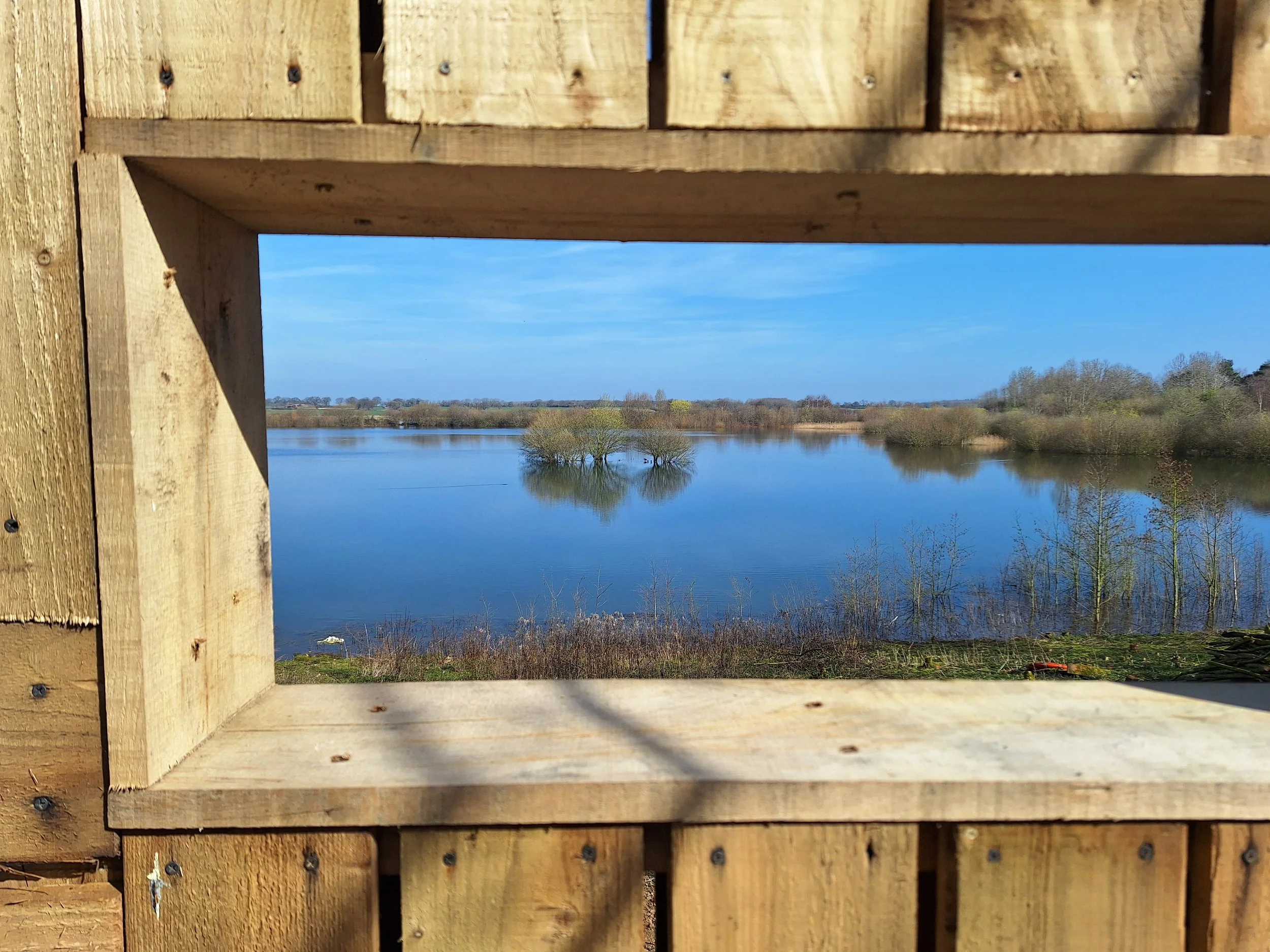 Creating a New Viewing Screen at Kiln Lake
