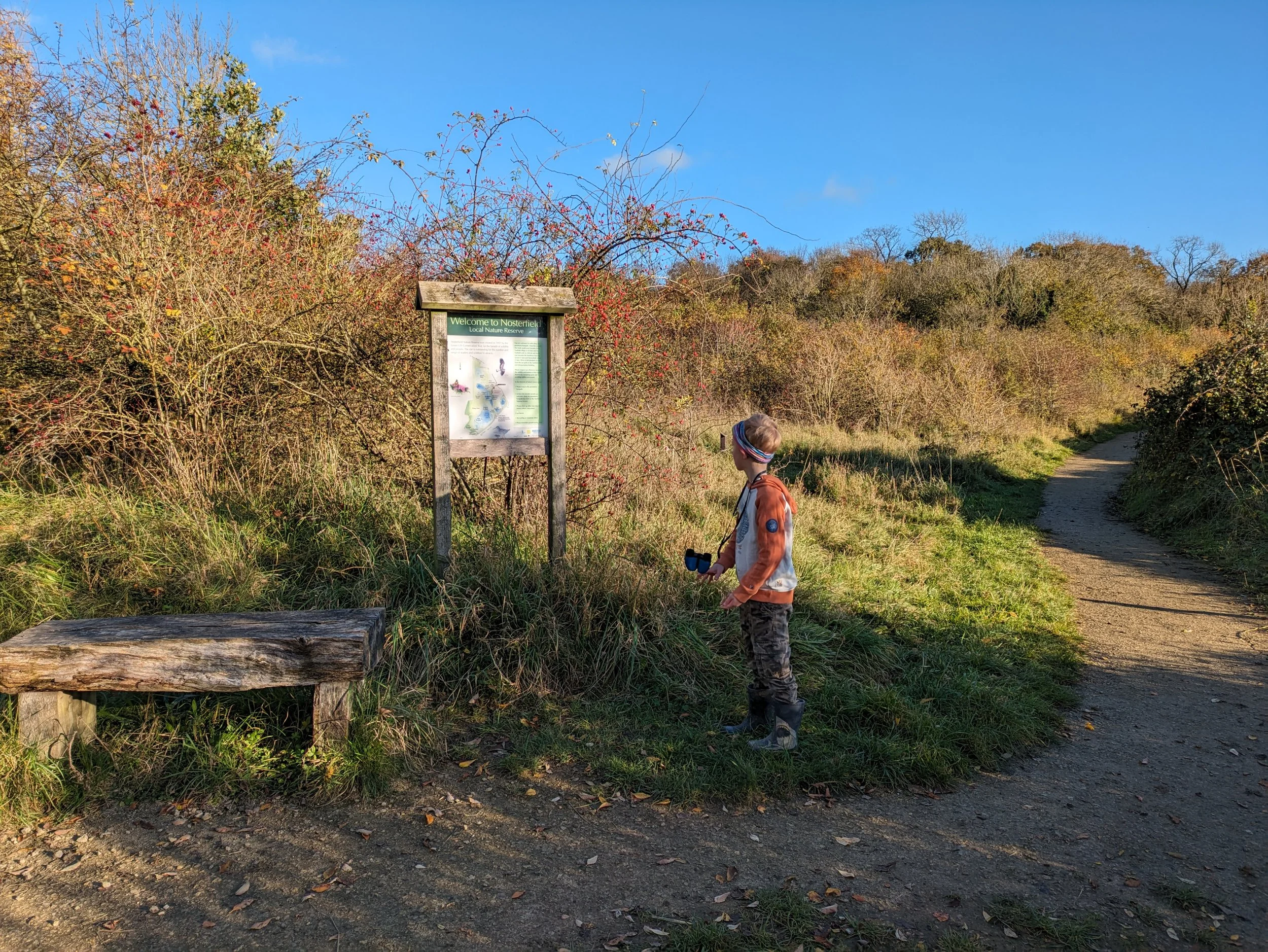 Search for Treasure at Nosterfield