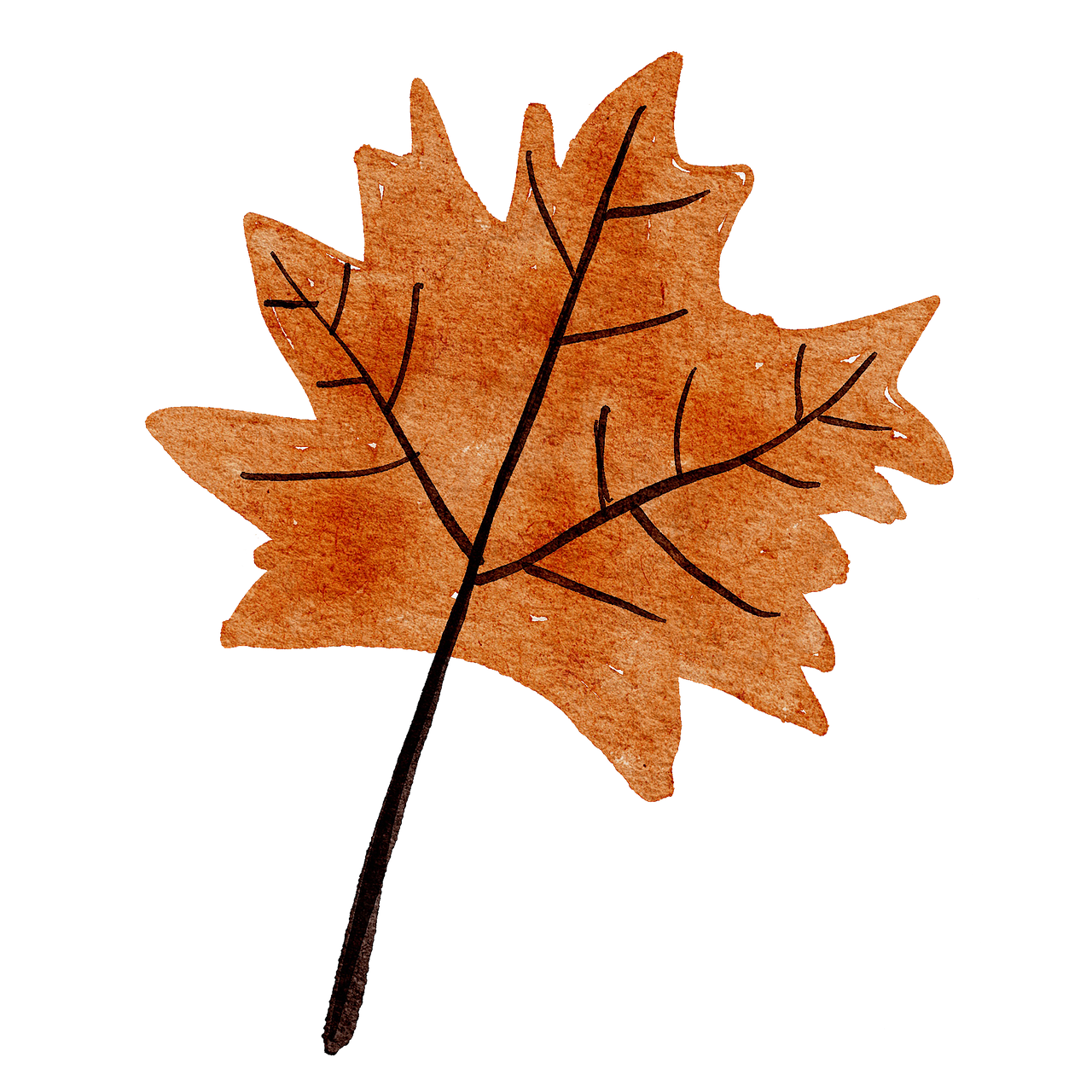 Half-term Woodland Activities