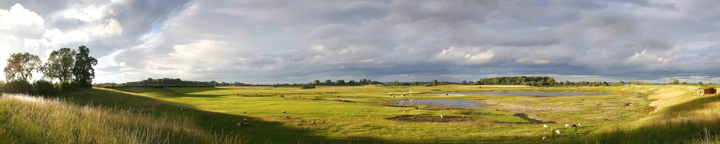 Birds and Words — The Lower Ure Conservation Trust