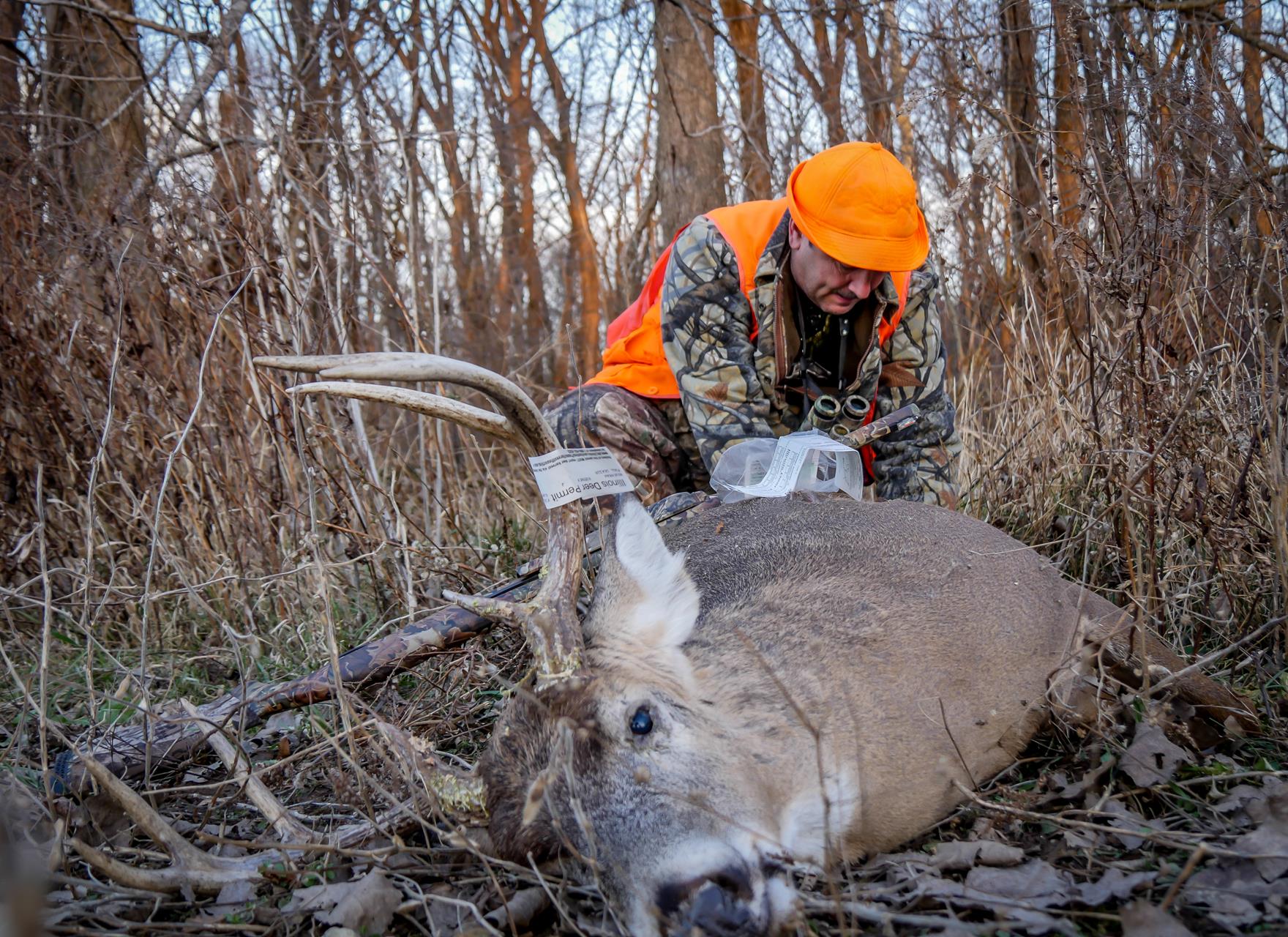 Deer Hunting ~ Illinois Firearm Season ~ A Legend Falls