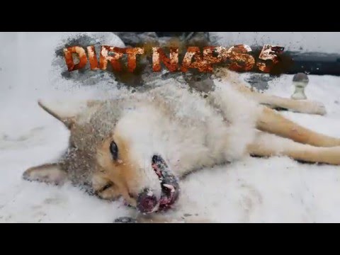 Coyote Hunting: Dirt Naps 5