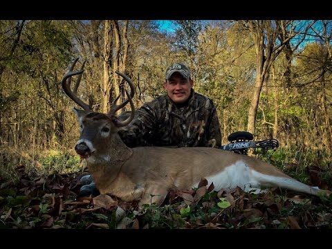 Bow hunting - Non-typical Buck