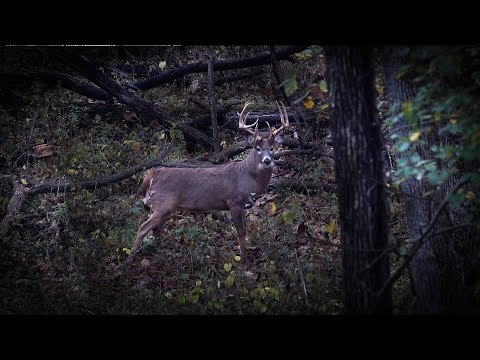 The Hunt for Monroe - Private Land Deer Hunting