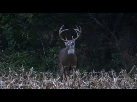The Hunt for Willy Wonka - Private Land Hunting