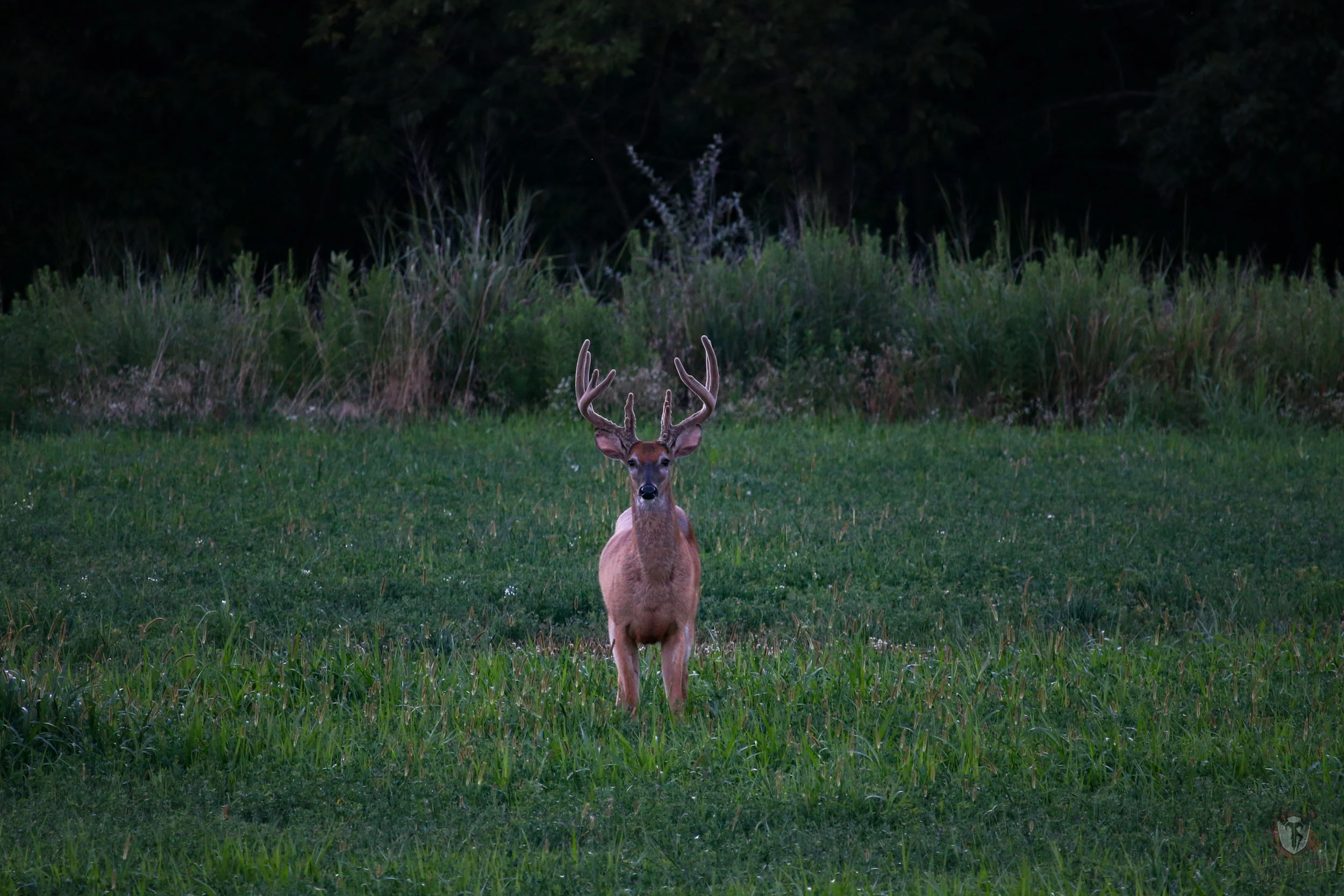 IMG_5315_edited.jpg
