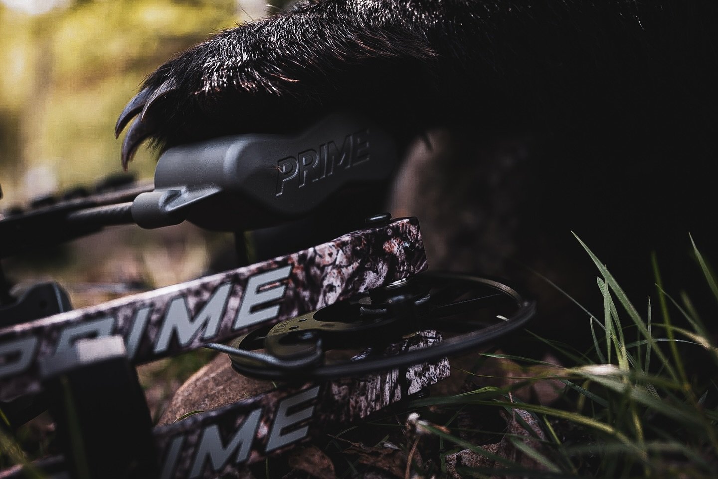 Temps are rising in Canada! 3 bears down! Stay tuned! #canada #hunting #outdoors #bearhunting #getoutside