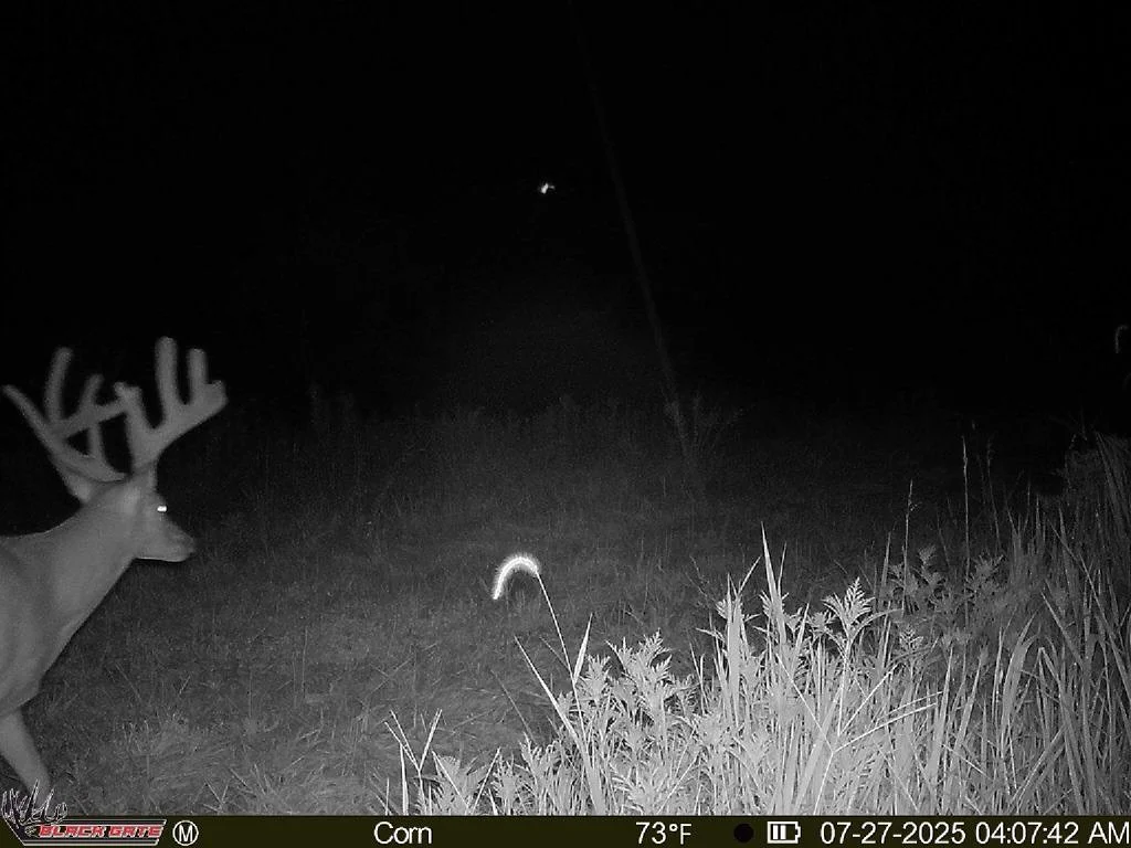Boy is THICK! 

#trailcam #hunting #whitetail #deerhunting #outdoors