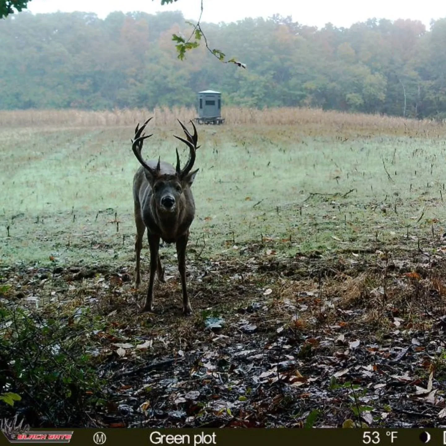 His days are numbered! That @360huntingblinds has our name on it!