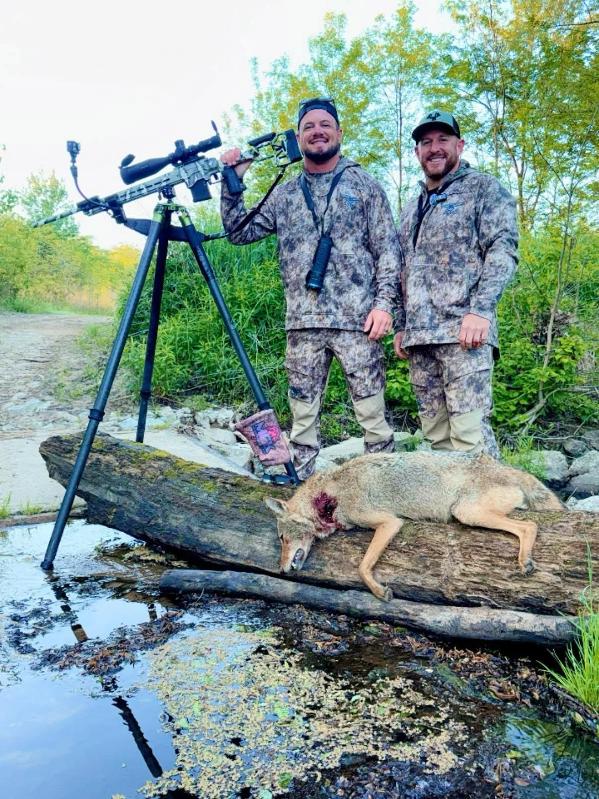 First daylight set of 2026 started with a bang flop on a mature female at less than 50 yards!! @asio_gear 

#coyotehunting #hunting #predatorhunting