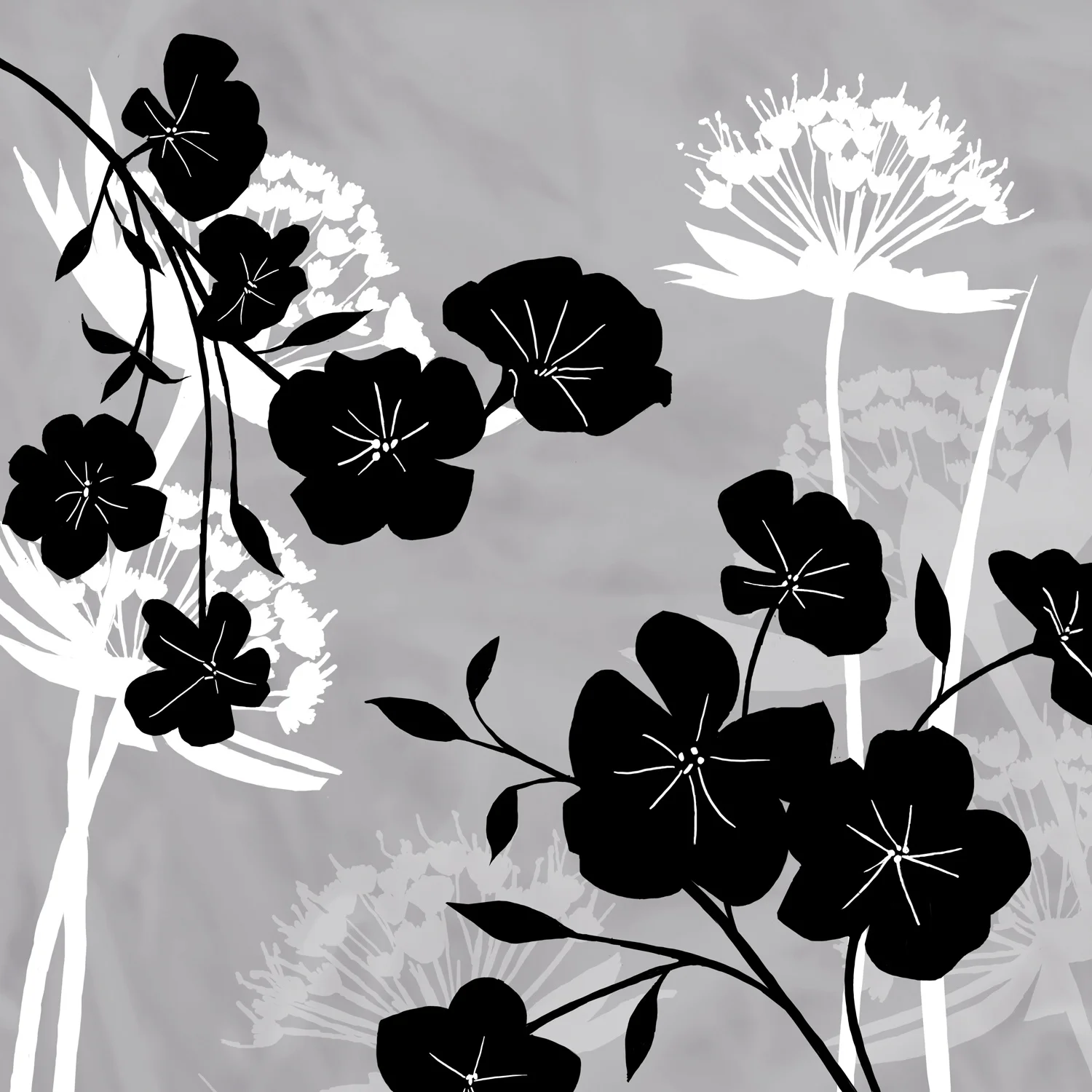 WHITE BACKGROUND – Design Ref. 1850
