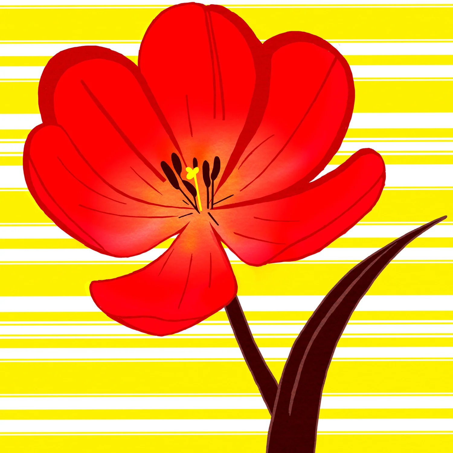RED OPEN TULIP – Design Ref. 2094