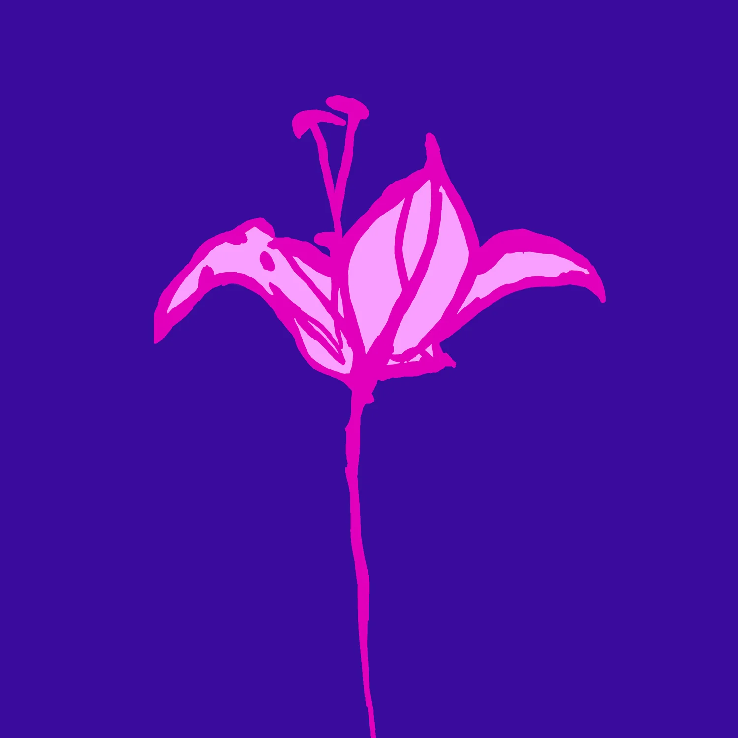 BOLD FLORAL 12 – Design Ref. 311