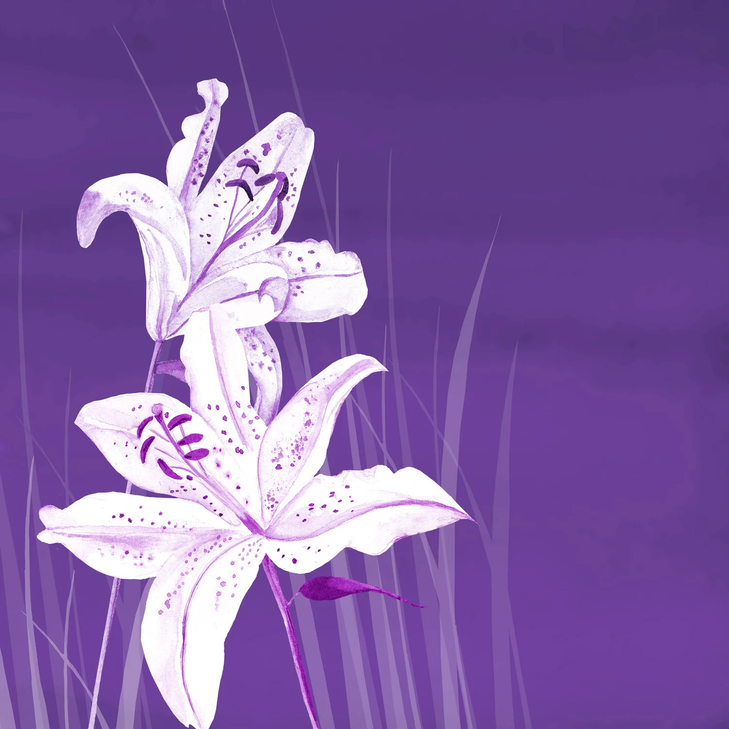 LILY IN THE FIELD – Design Ref. 1564