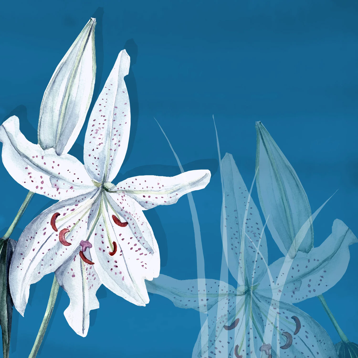 SHADOW LILY – Design Ref. 1565