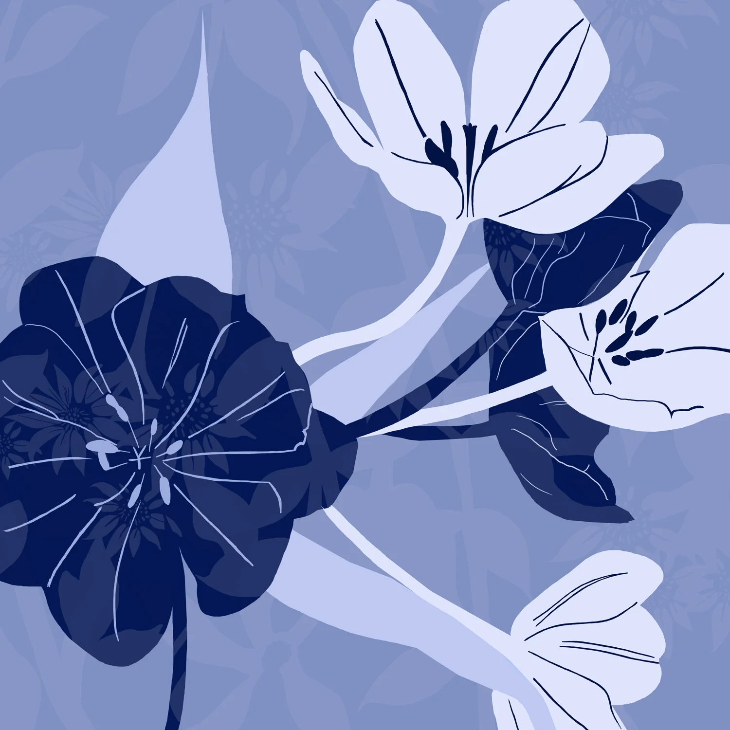 TULIP DISPLAY – Design Ref. 1636