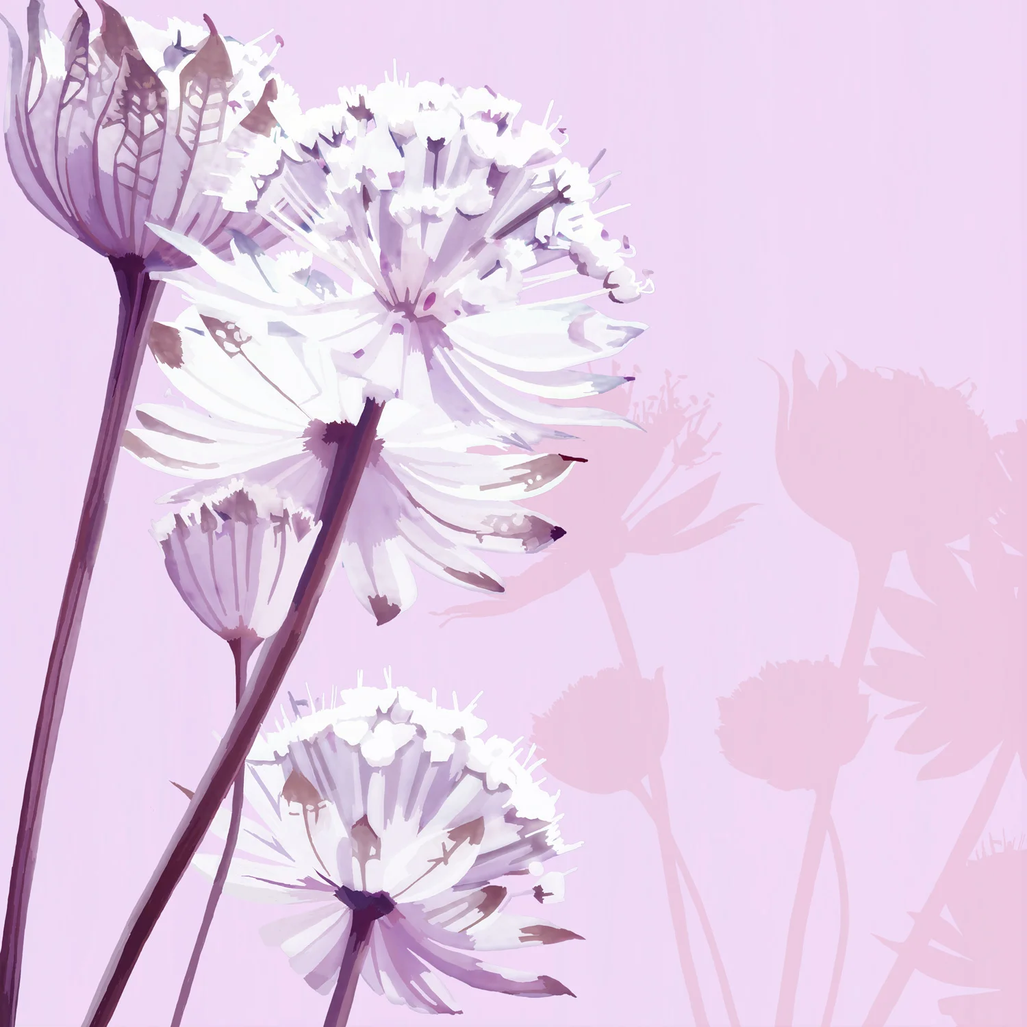 SHADES OF PINK – Design Ref. 1814