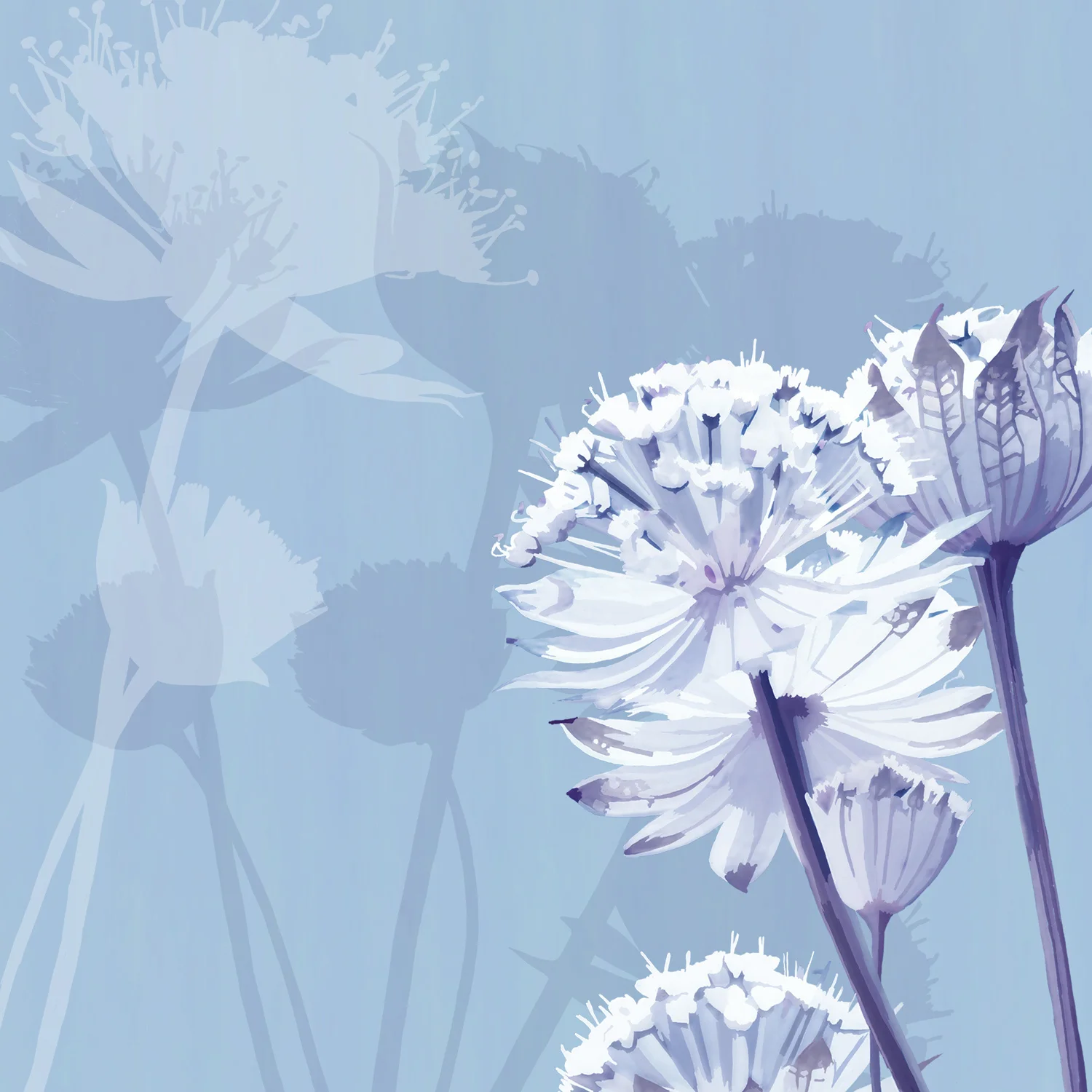 BLOWING IN THE WIND – Design Ref. 1815
