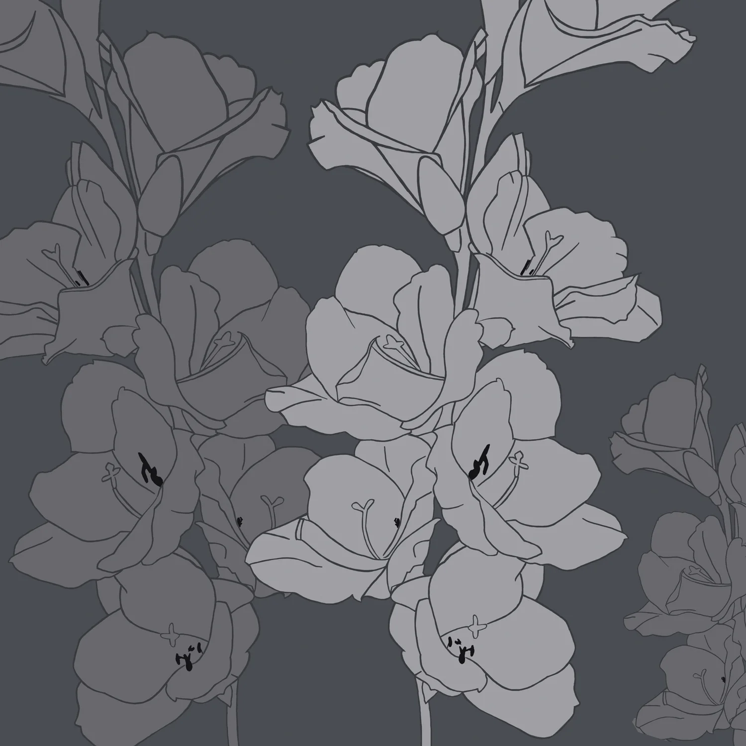 GLADIOLI IN GREY – Design Ref. 1865