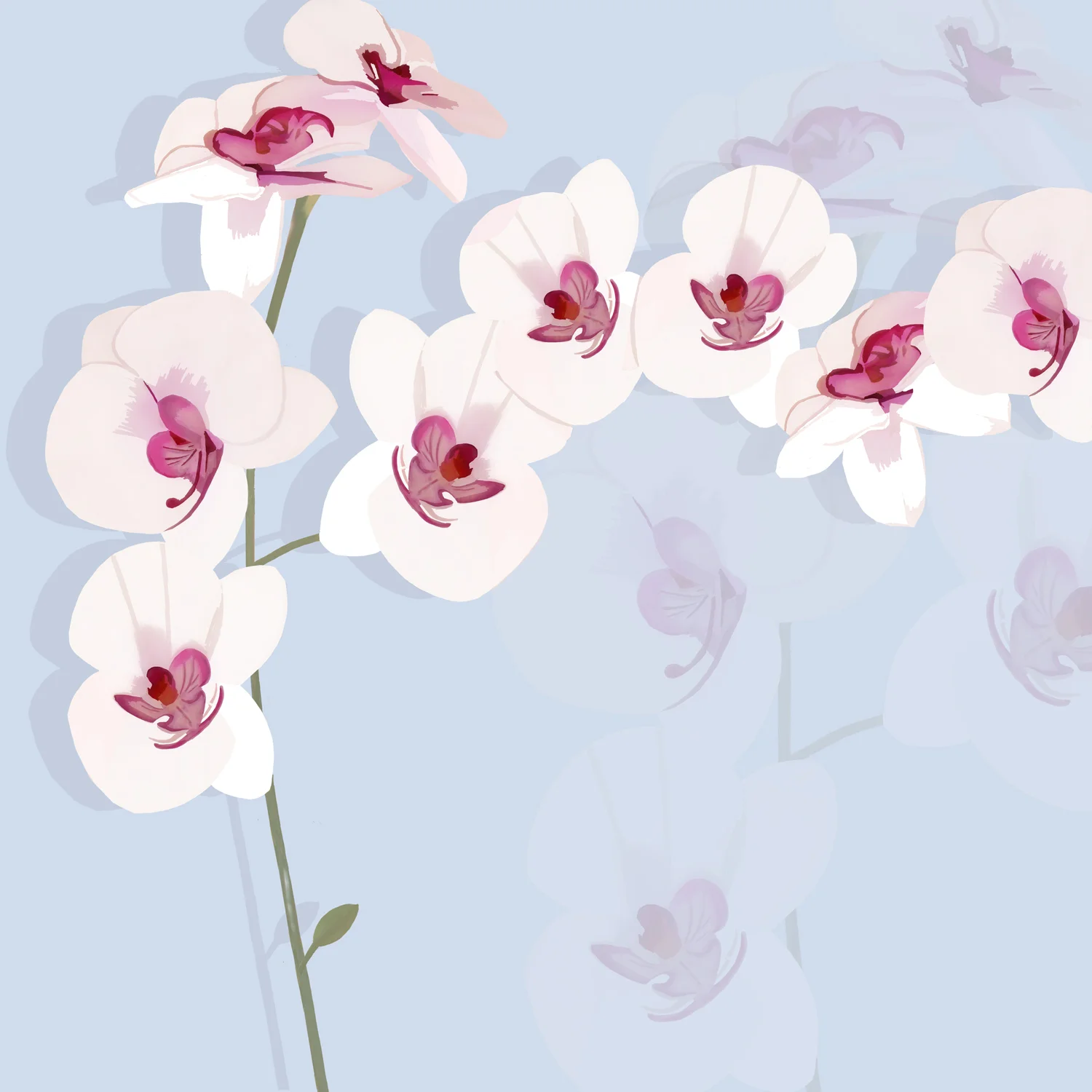 WHITE ORCHID EXHIBIT – Design Ref. 1836