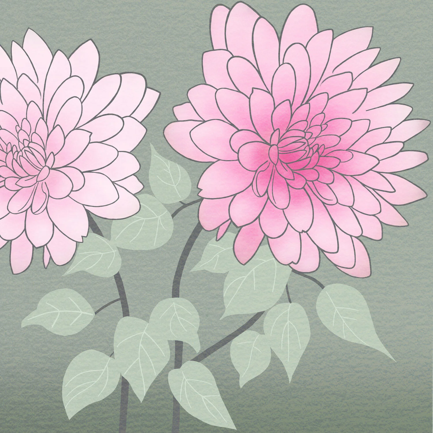 DAHLIA DELIGHT – Design Ref. 2070