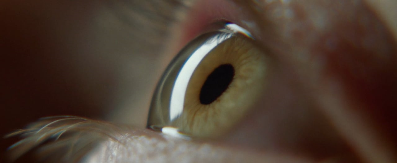 BLINK Trailer - Noam Murro