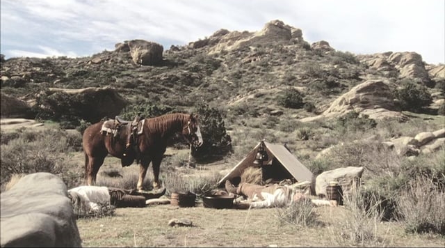 BURGER KING "COWBOY"