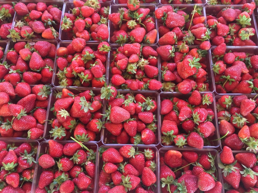 These fresh strawberries are a hot commodity at our market. Get there early because they go fast!