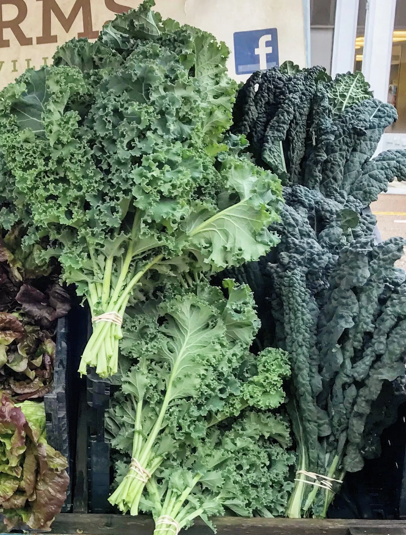 kale.jpg