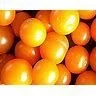 sungold.jpg