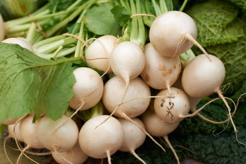 hakurei turnips.jpg