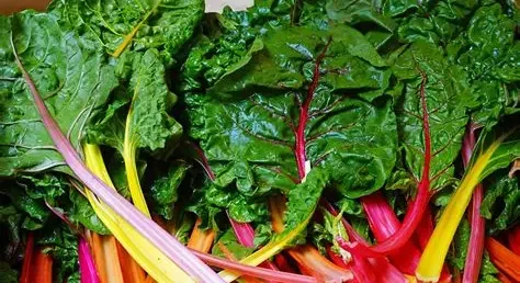 swiss chard.webp