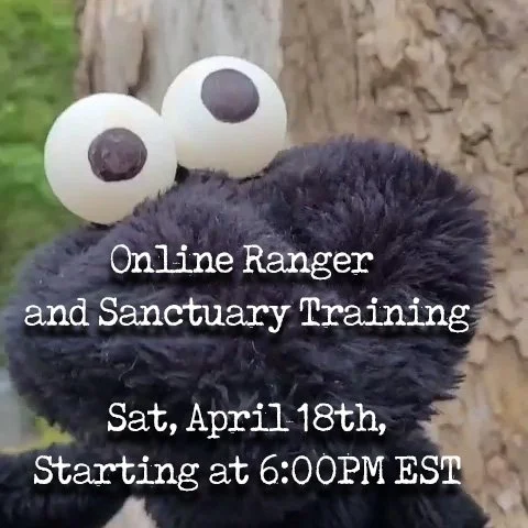 Online Ranger and Sanctuary Training This Saturday!