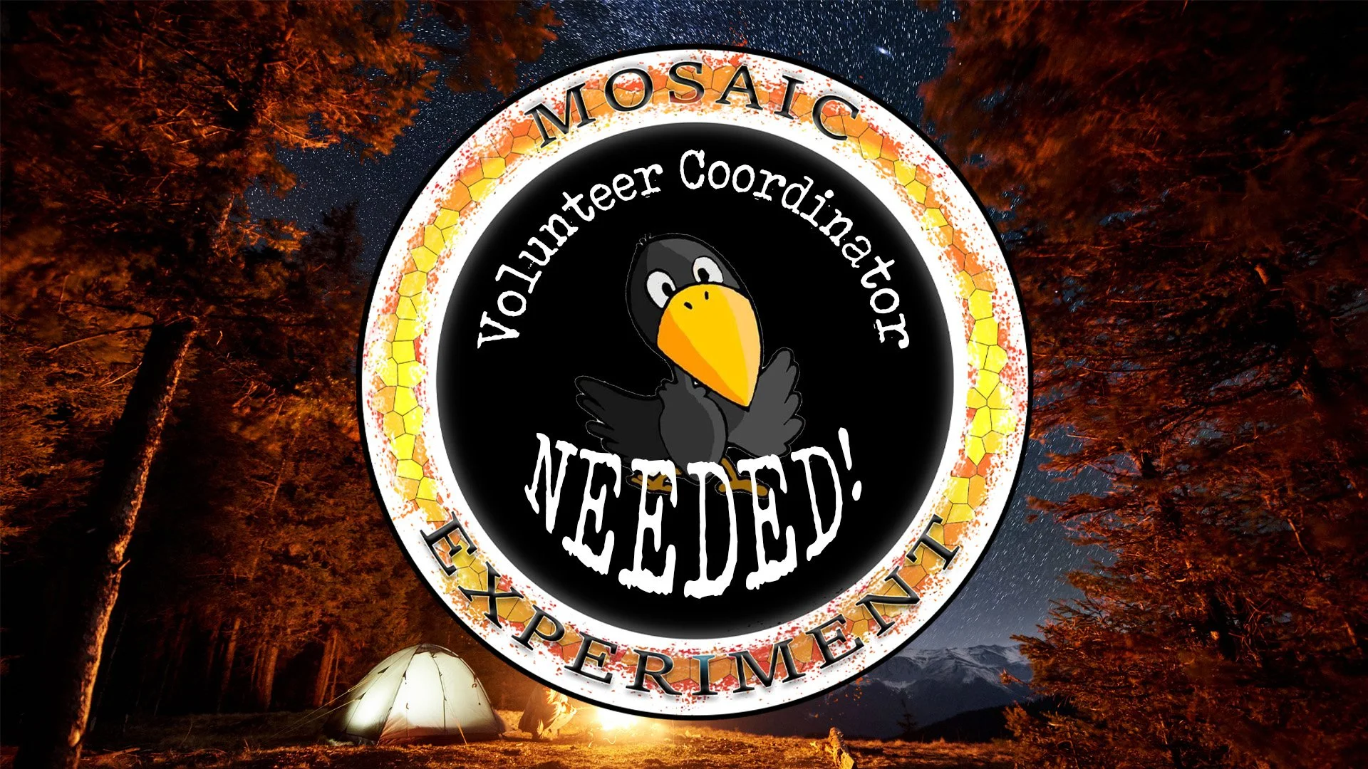 Volunteer Coordinator Needed!