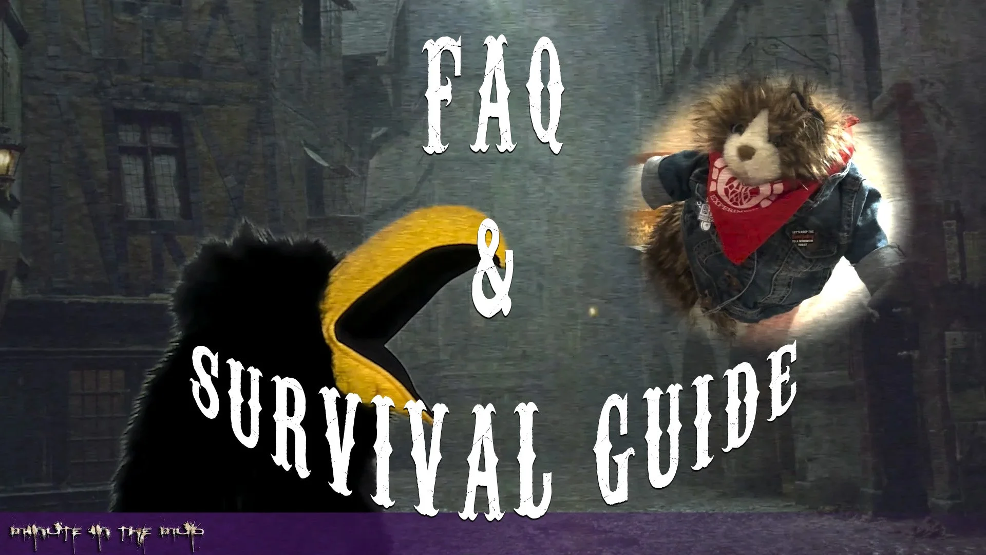 FAQ and Survival Guide 2026