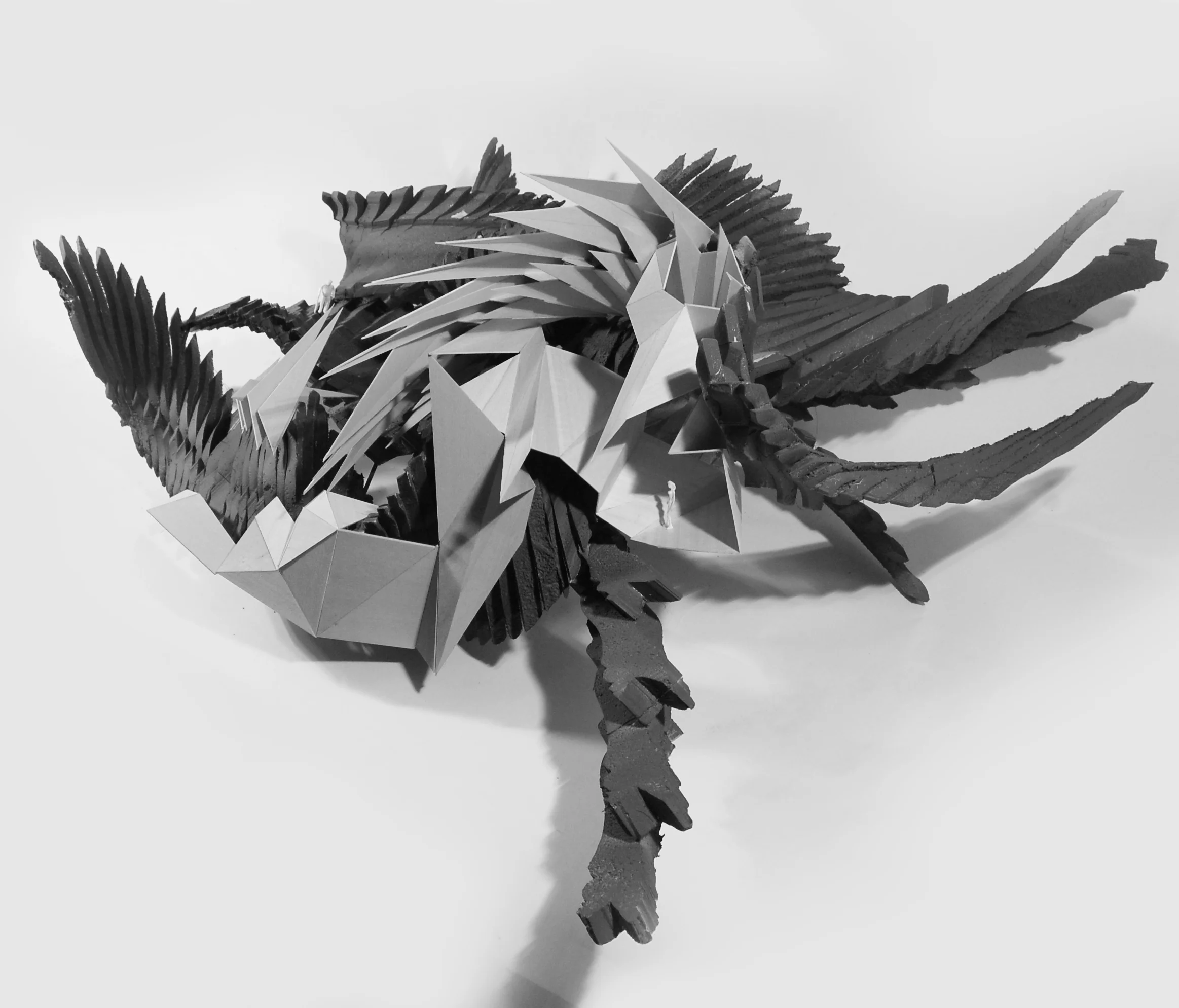 102_Fmodel_01.jpg
