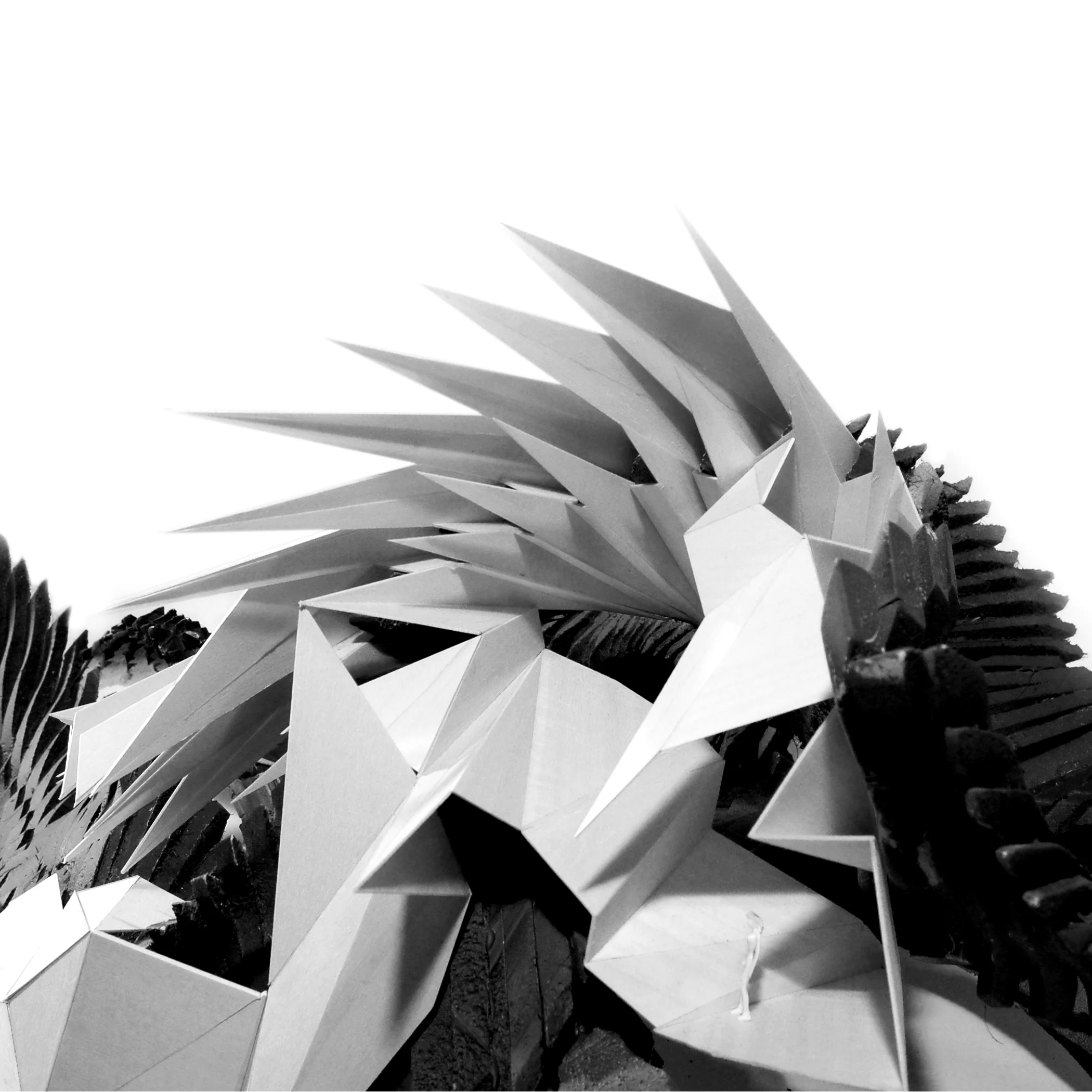 102_Fmodel_04.jpg