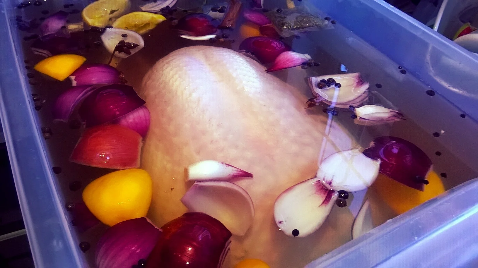 This year's turkey being brined