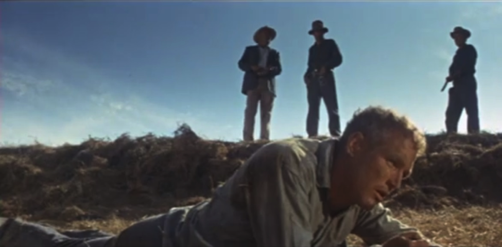 Figure 1: Cool Hand Luke (Warner Bros. Entertainment, 1967)