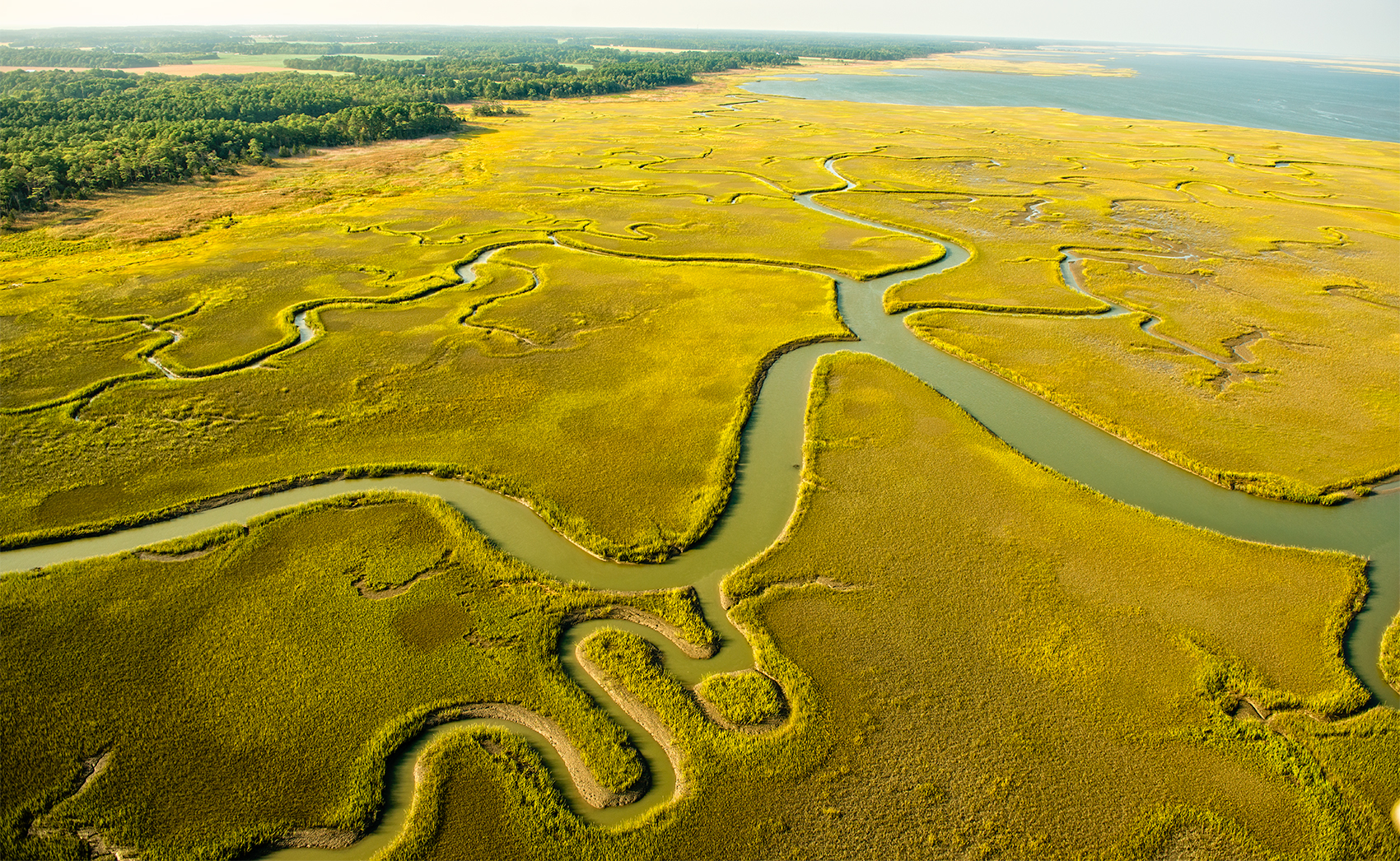 _ATK8811-aerial.jpg