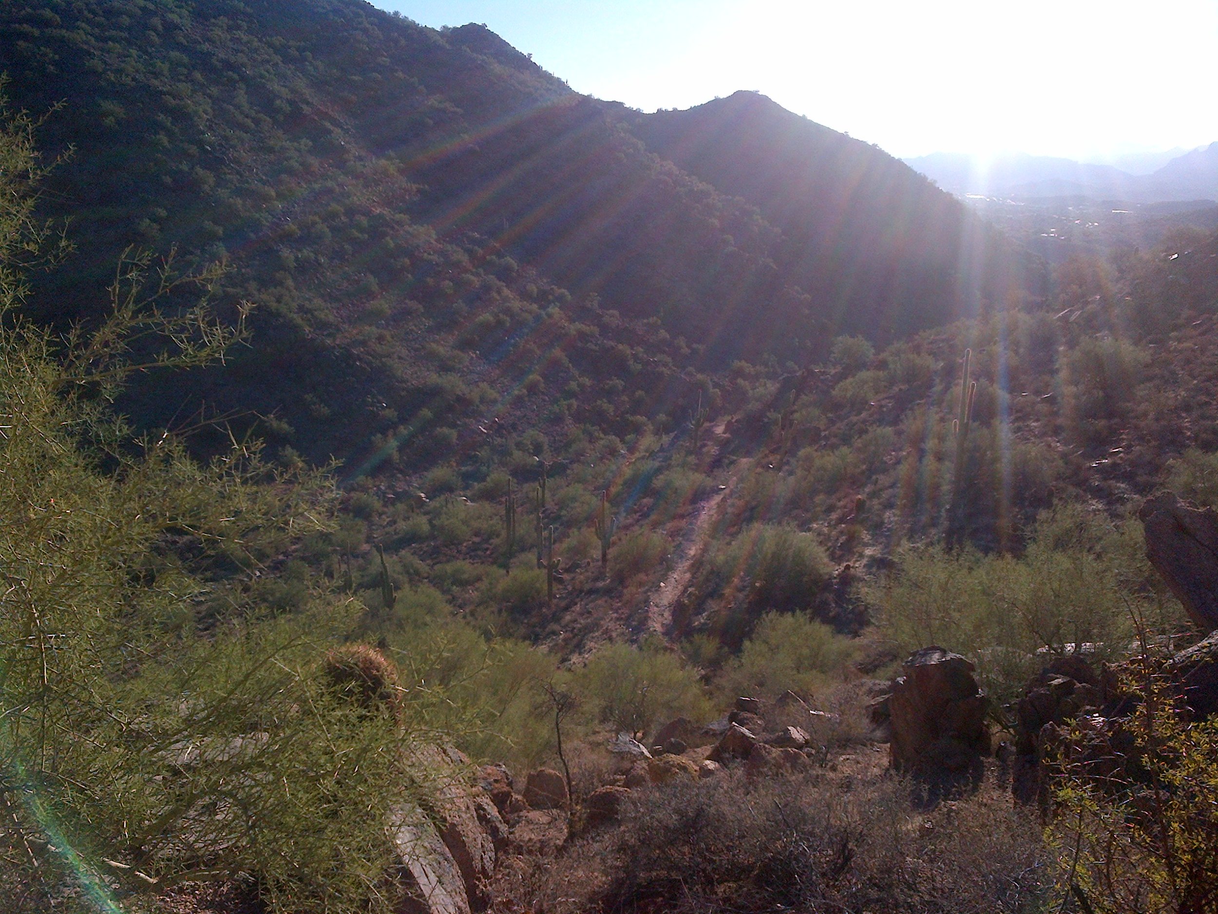 early morning hike before day 2 with the analysts and consultants - before the sun gets too hot!