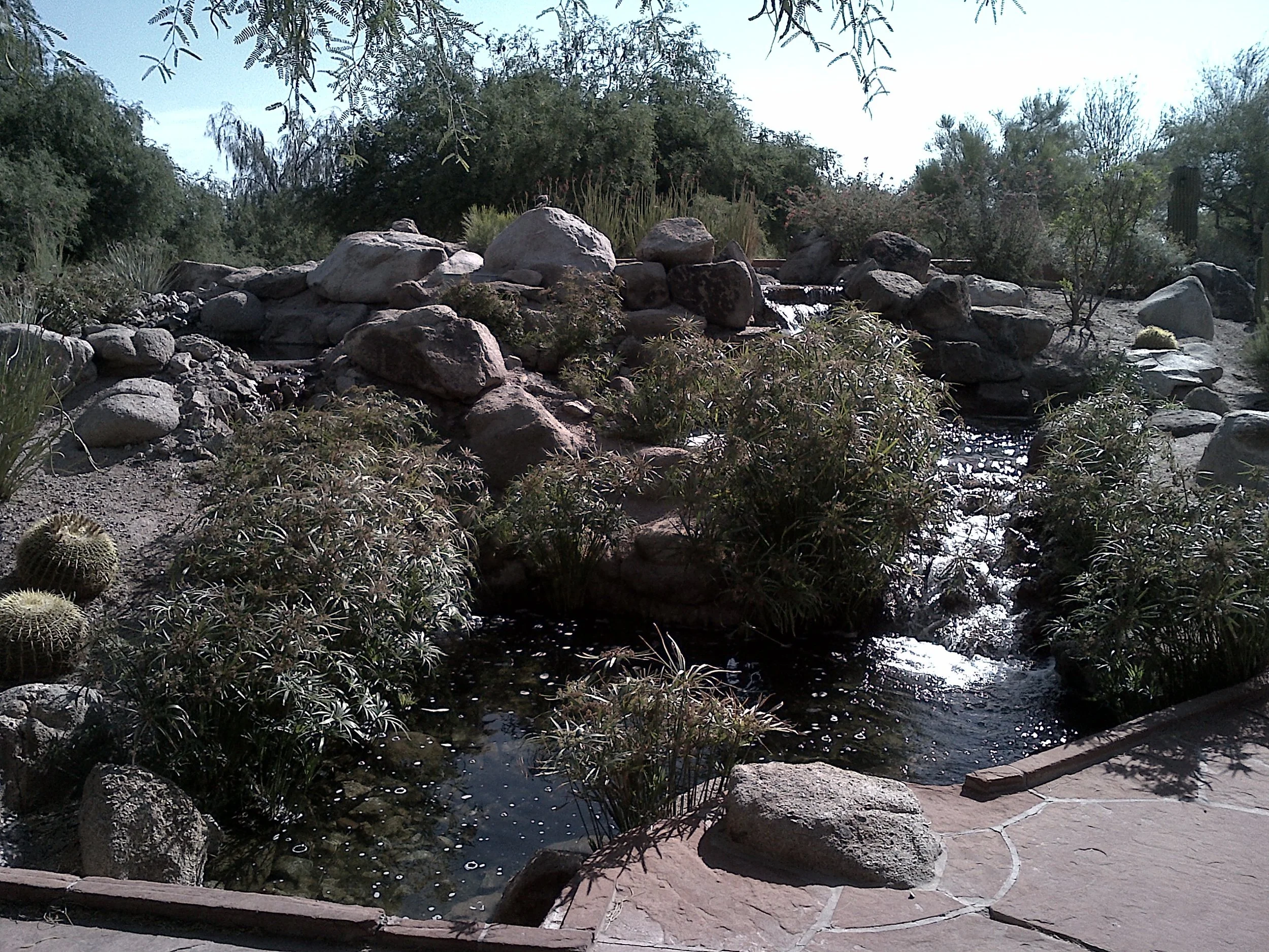 plenty of water with the gila river nearby - very zen vibe at this place - really hard to leave