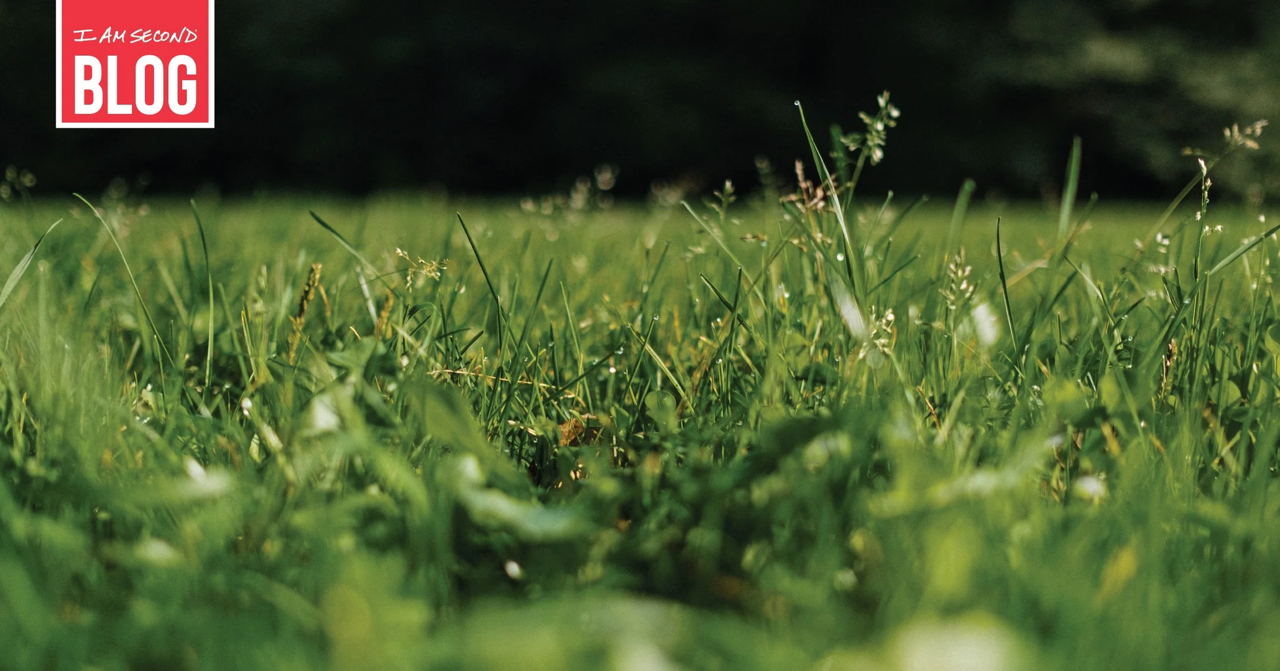 The importance of spring in your life.