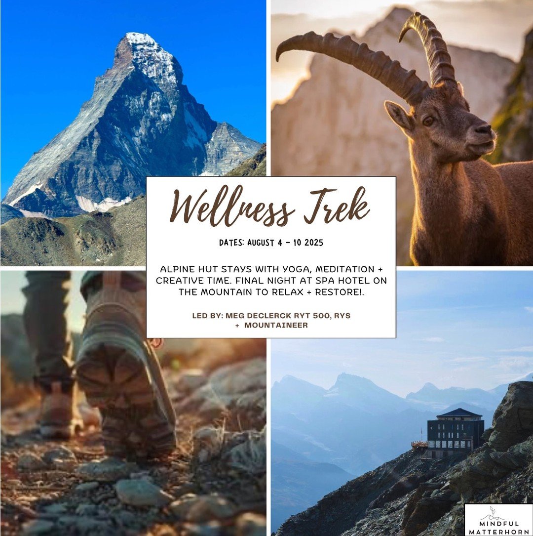 We cannot wait to embark on this incredible adventure with you! Alpine huts, Swiss local cuisine (veg + vegans welcome), Days filled with trekking near 3000-4000+meter peaks, + Getting away from the hustle + bustle! August 4-10 2025! See you next Sum