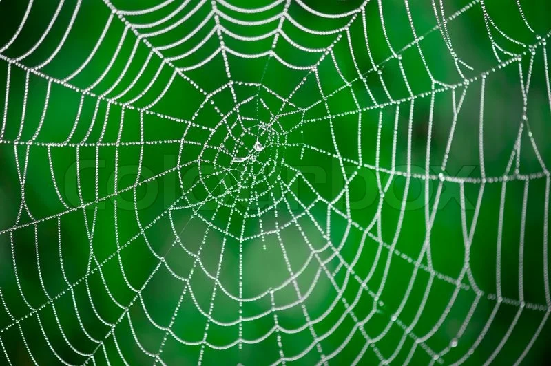 New OverStory website!