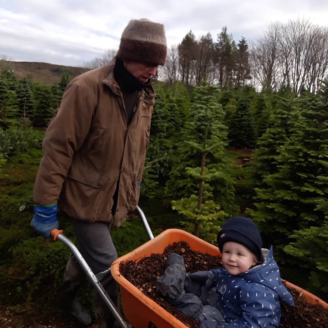 When you don't have a sleigh so you use the next best thing to get around the farm #theyseemerollin 
.
.
.
#christmastreesdelivered #christmastreefarm #sustainablefarming #christmastrees #christmas #familybusiness #supportsmall