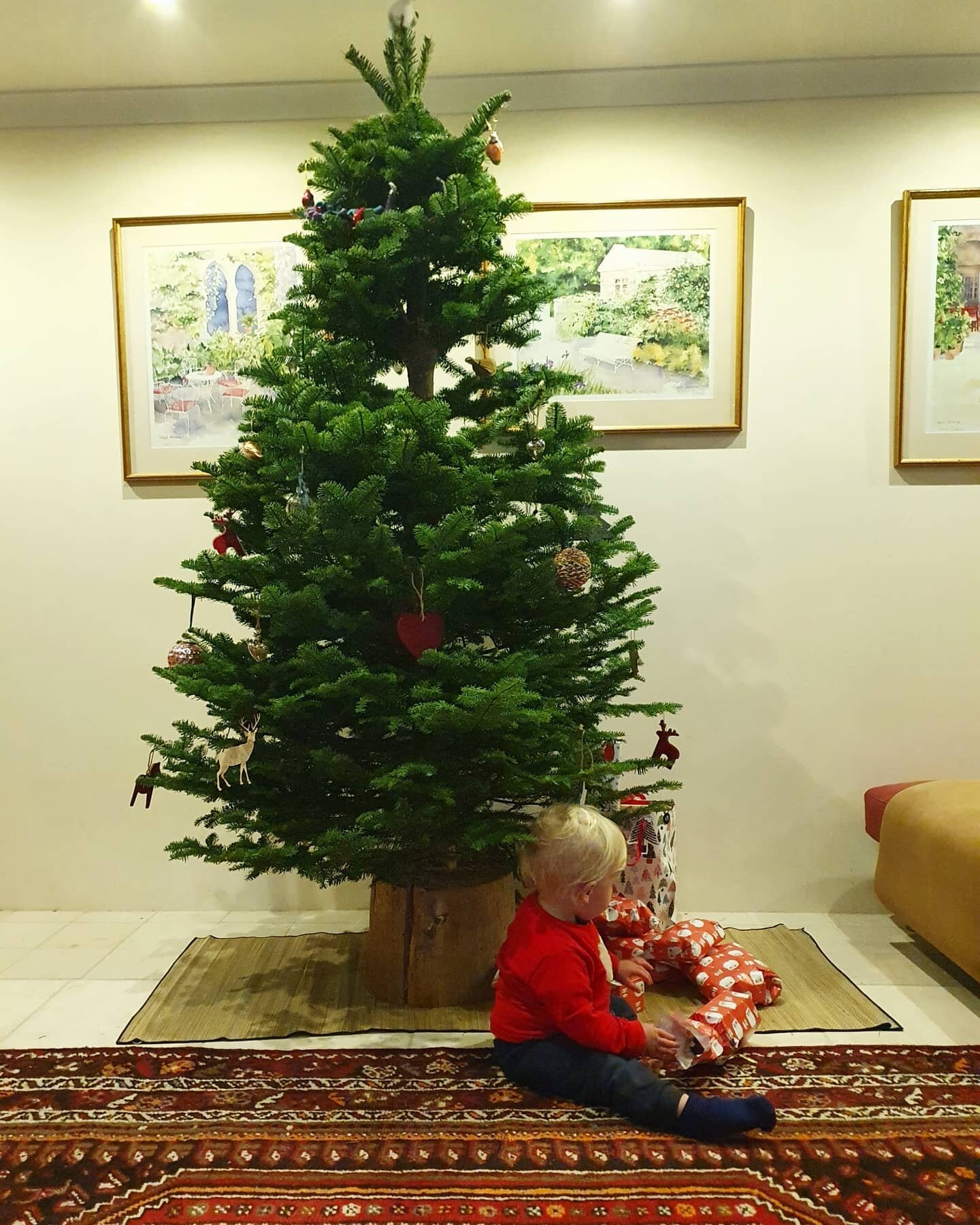 We mean it when we say 'Every tree deserves a christmas'..this tree had to be cut down in order for the tractor to go past and so we are giving it a Christmas! She may not be perfect but she is still beautiful! And doesn't she look good with the humm