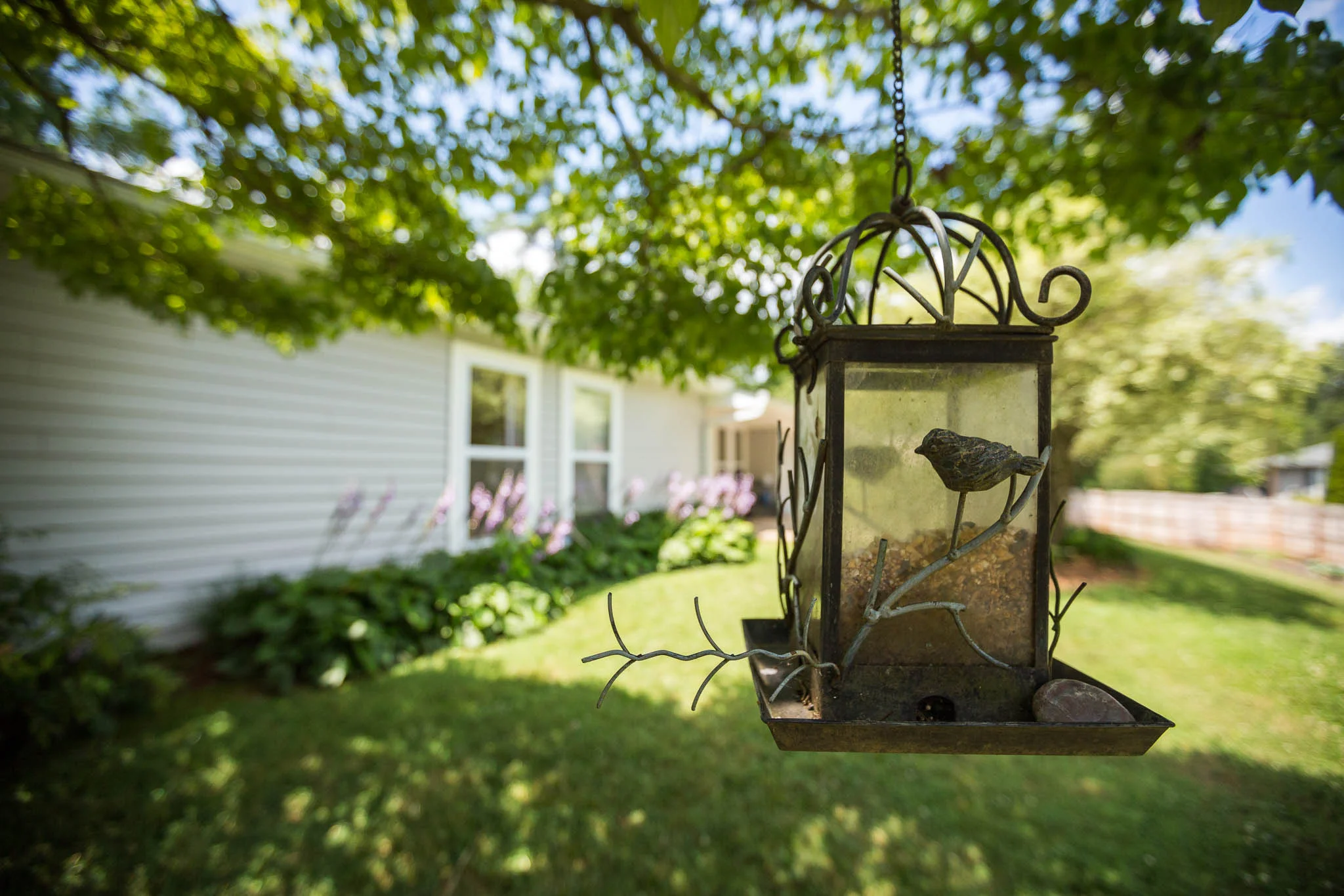 MtnArea Images - (Social-Web-Resolution)-23.jpg