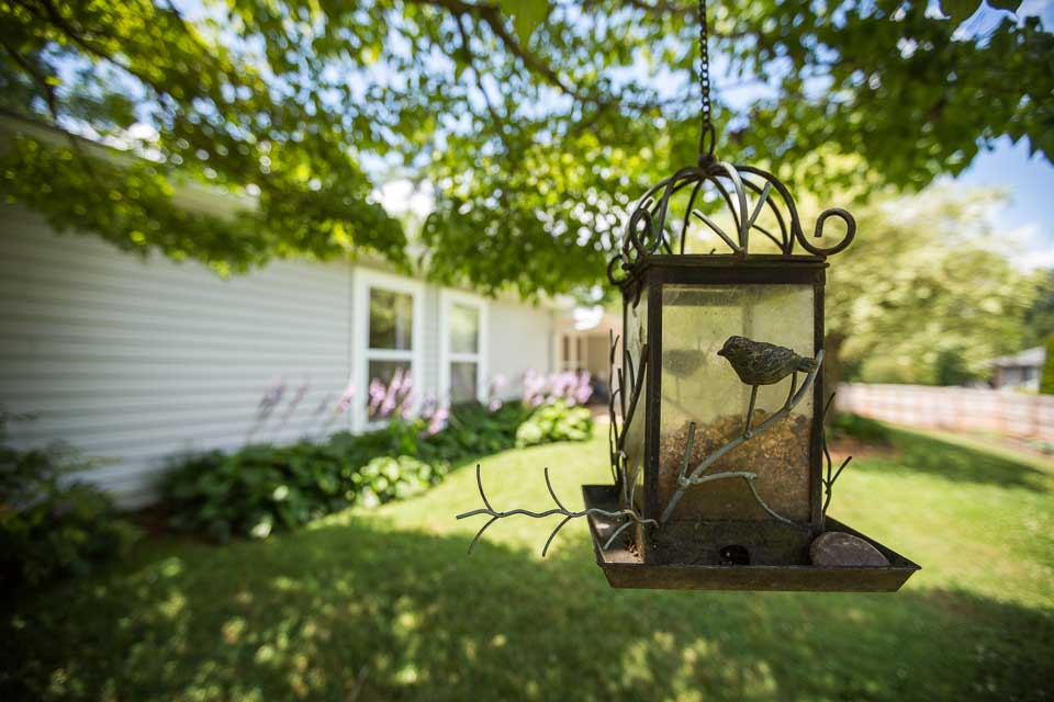 MtnArea Images - (Email-Web-Resolution)-23.jpg